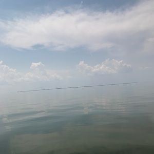 Meet your Posher, Quentin